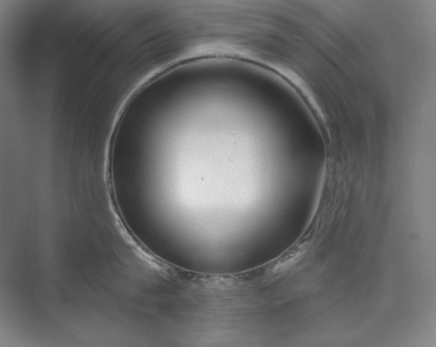 X0000073990815200609060956