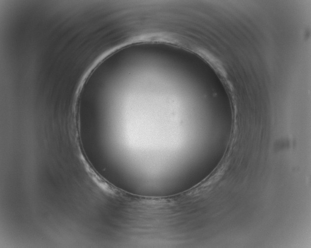 X0000073990816200609060956