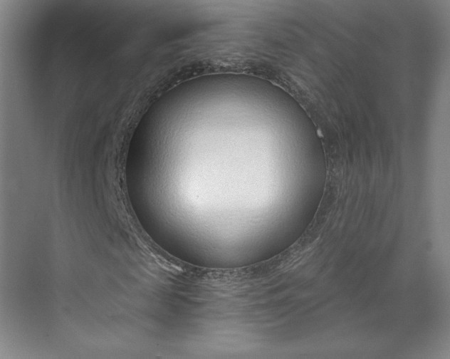 X0000073990817200609060955