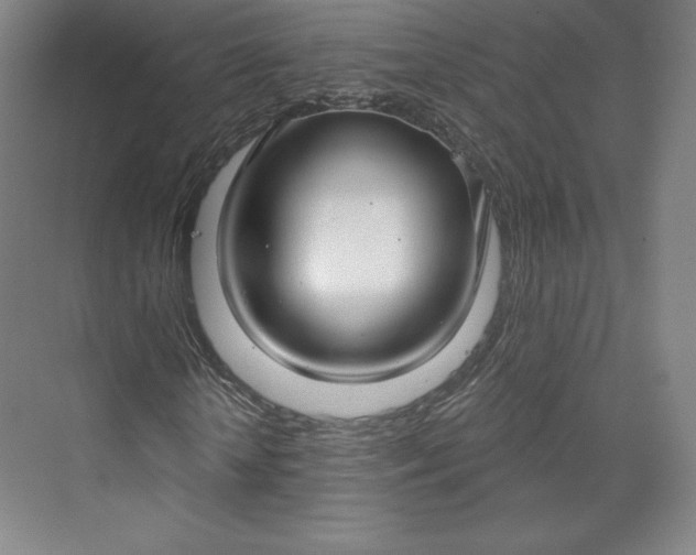 X0000073990818200609060955