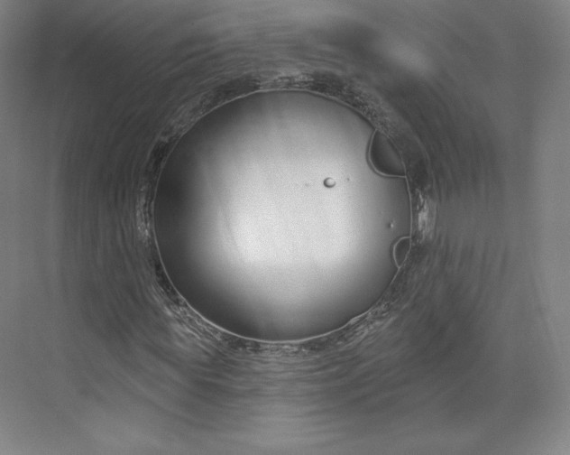 X0000073990819200609060955