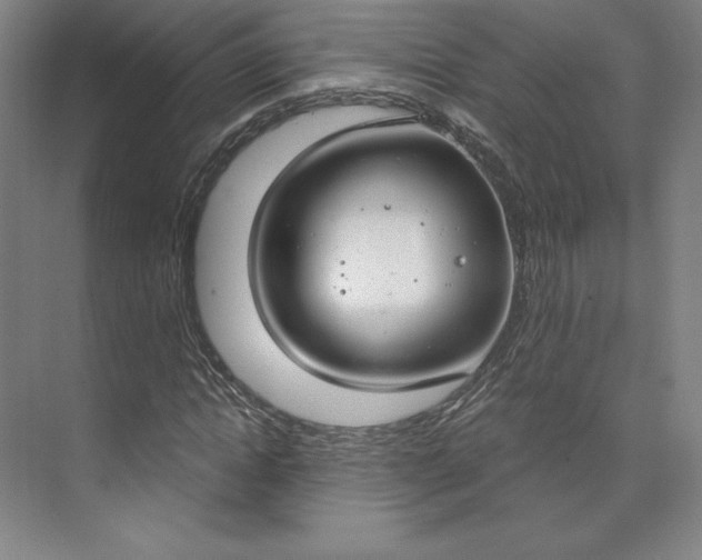 X0000073990822200609060955