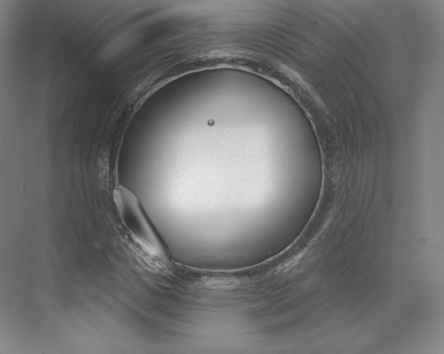 X0000073990825200609060955