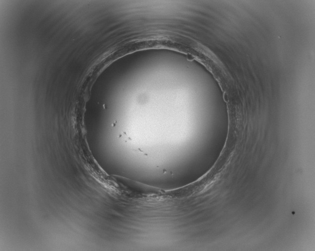 X0000073990826200609060955