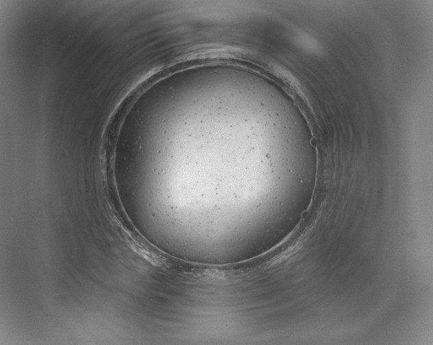 X0000073990827200609060955