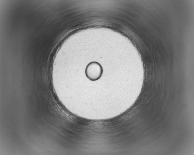 X0000073990828200609060955