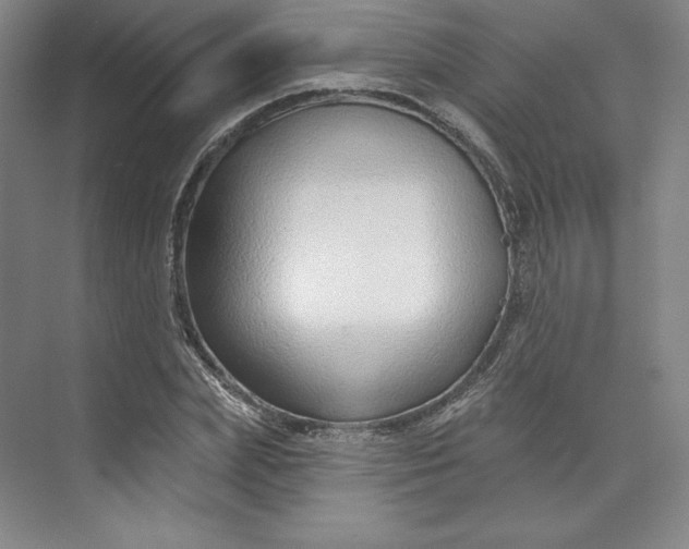 X0000073990831200609060955