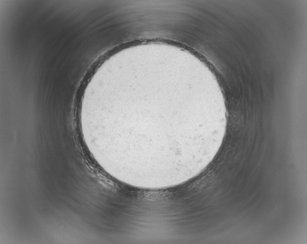 X0000073990832200609060955