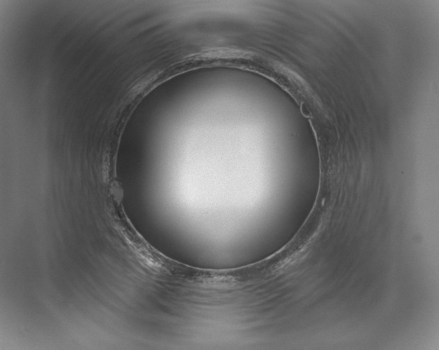 X0000073990833200609060955