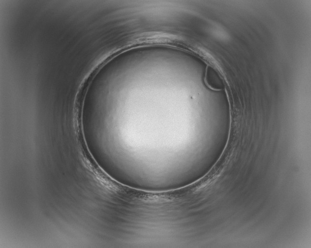 X0000073990835200609060955