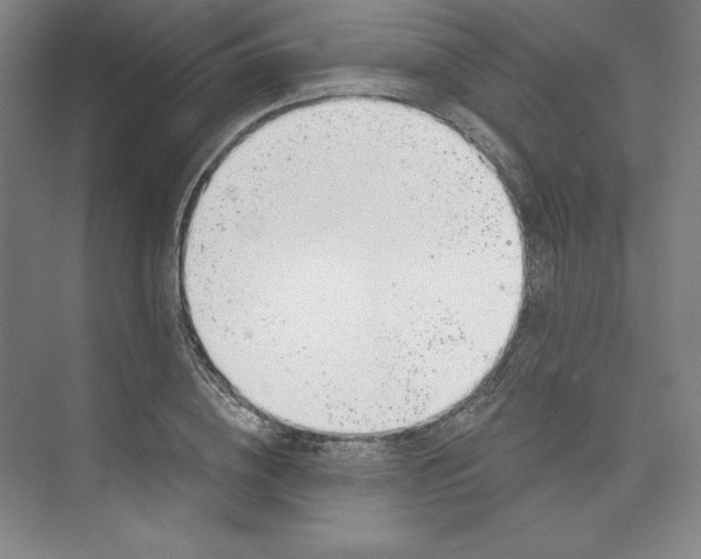 X0000073990836200609060955