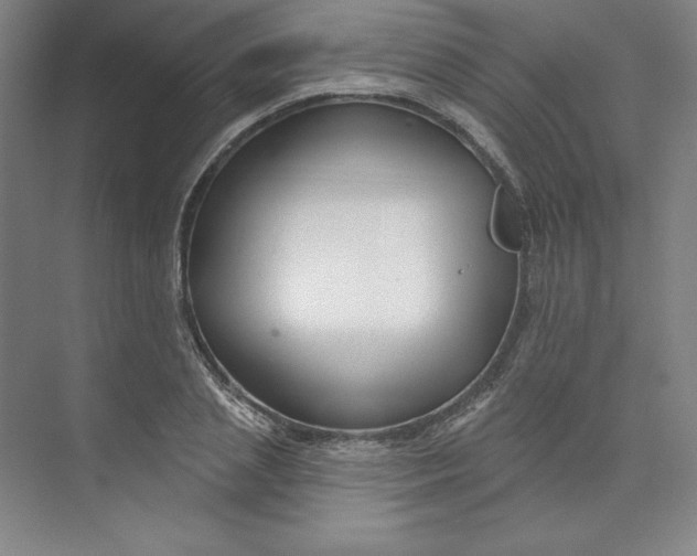 X0000073990837200609060955