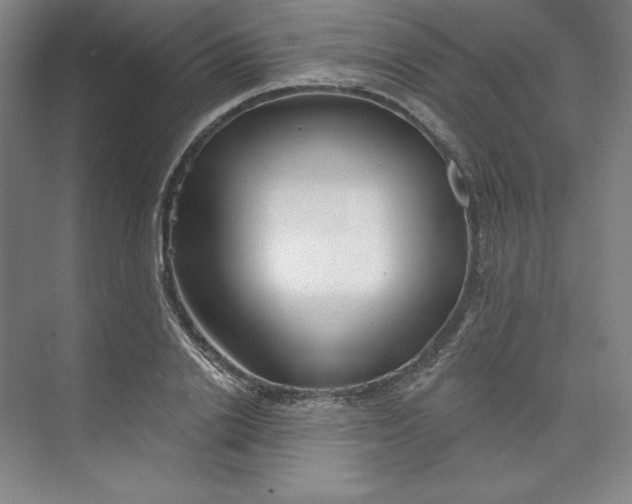 X0000073990838200609060955