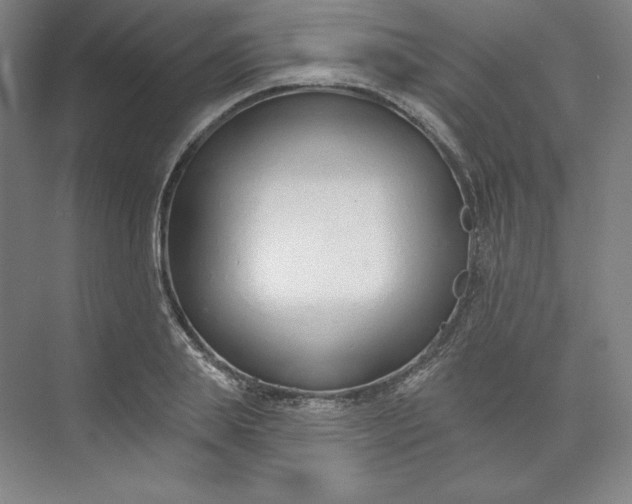 X0000073990839200609060955