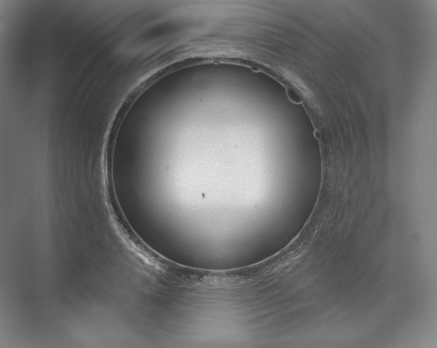 X0000073990840200609060955