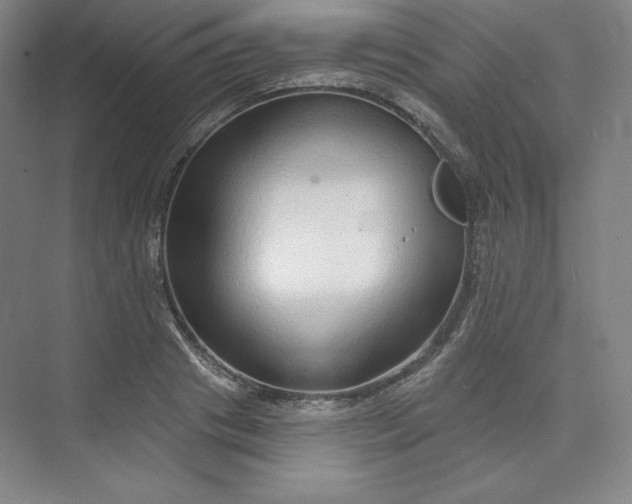 X0000073990841200609060955