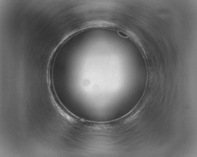 X0000073990843200609060955