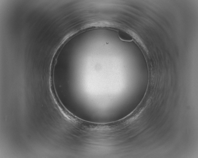 X0000073990845200609060956