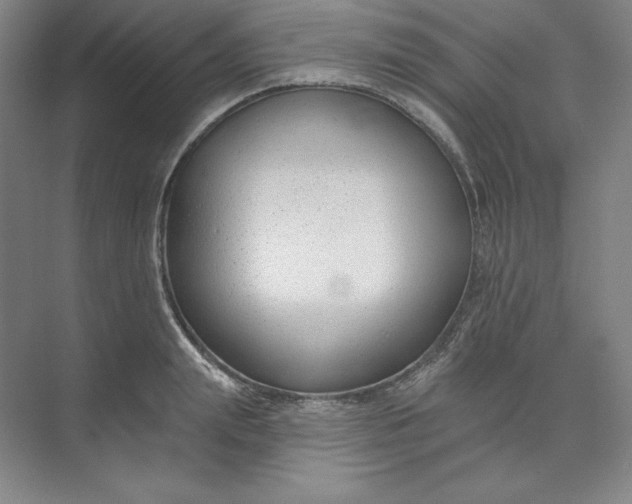 X0000073990847200609060956