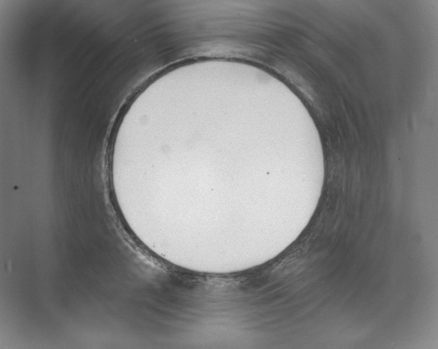 X0000073990848200609060956