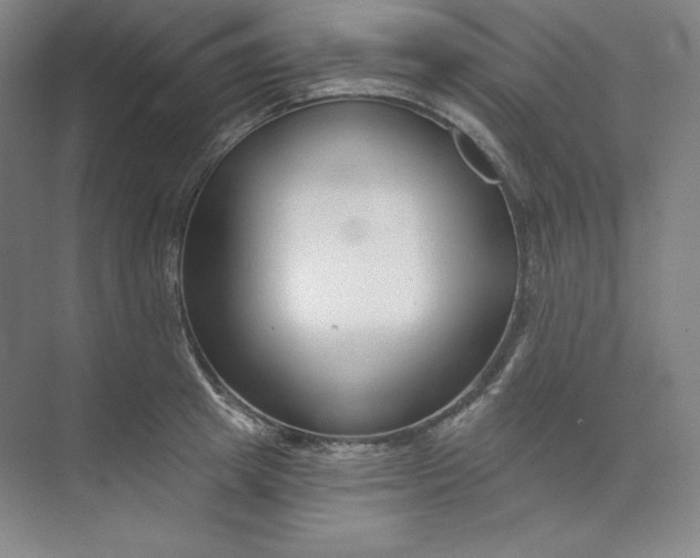 X0000073990849200609060956