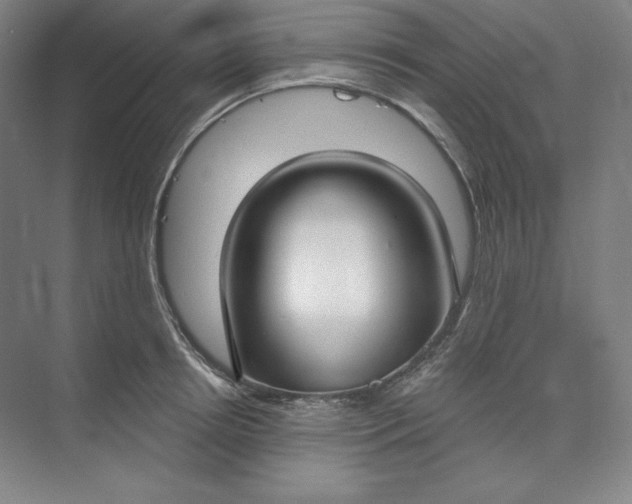 X0000073990850200609060956