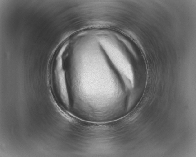 X0000073990851200609060956