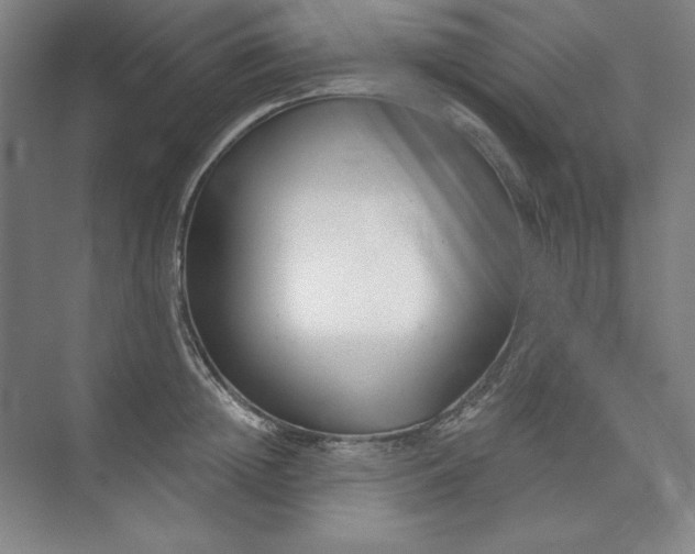 X0000073990852200609060956