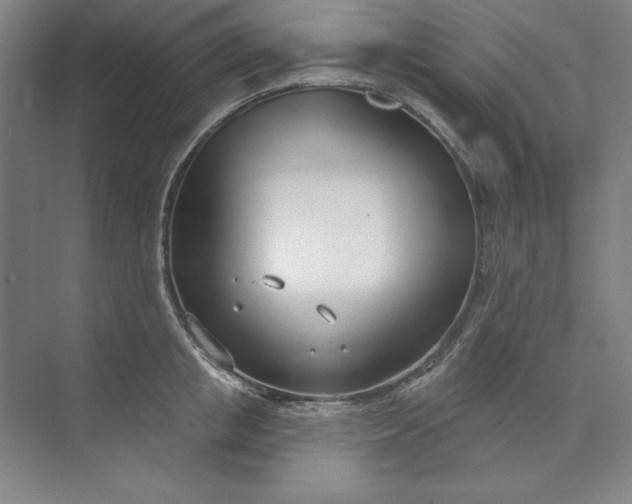 X0000073990853200609060956