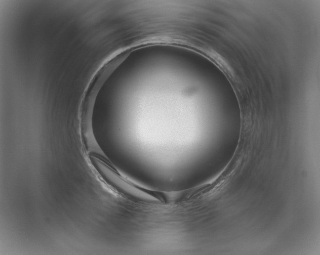 X0000073990854200609060956