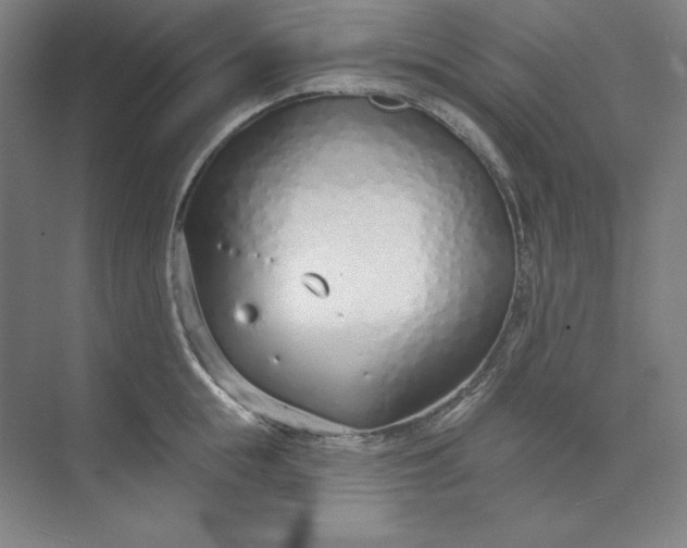 X0000073990855200609060956