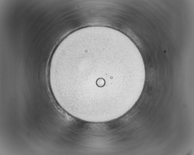 X0000073990856200609060956