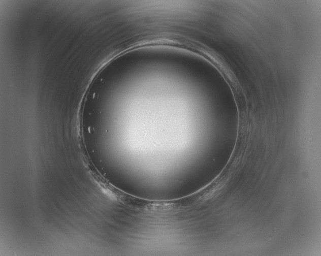 X0000073990858200609060956