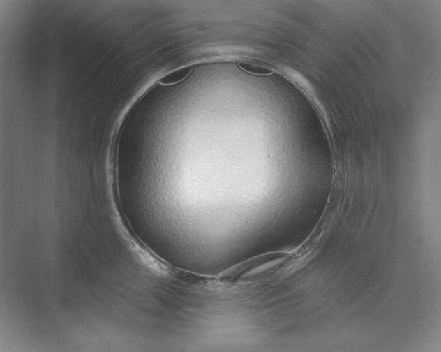 X0000073990859200609060956