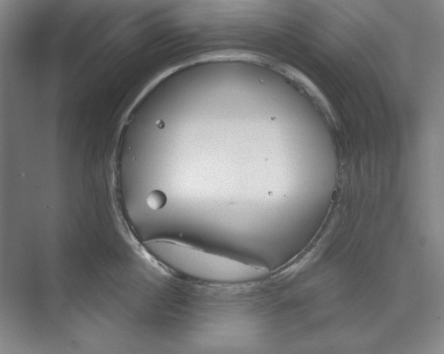 X0000073990860200609060956