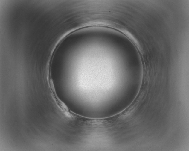 X0000073990862200609060956