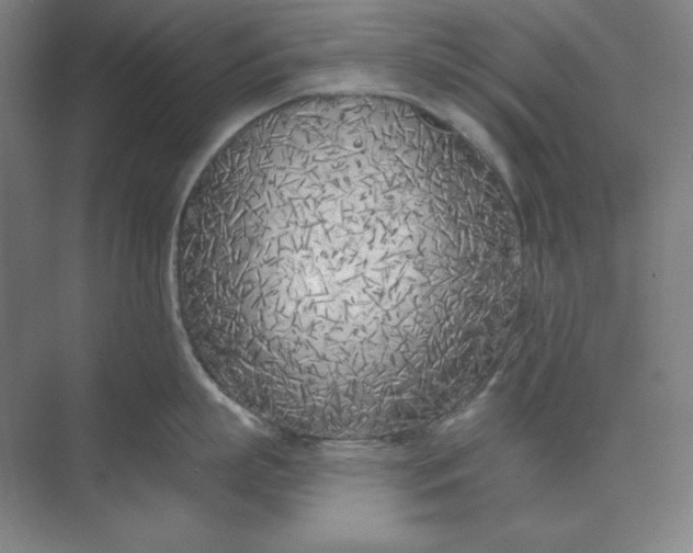 X0000073990863200609060956