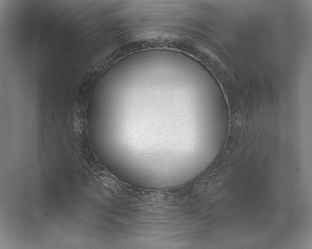 X0000073990869200609060955