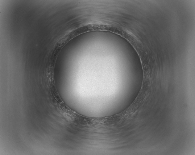 X0000073990870200609060955