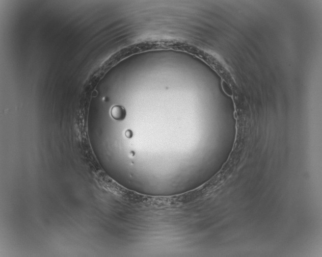 X0000073990871200609060955