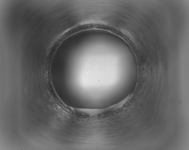 X0000073990872200609060955