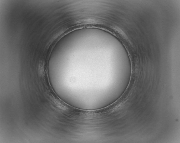 X0000073990873200609060955