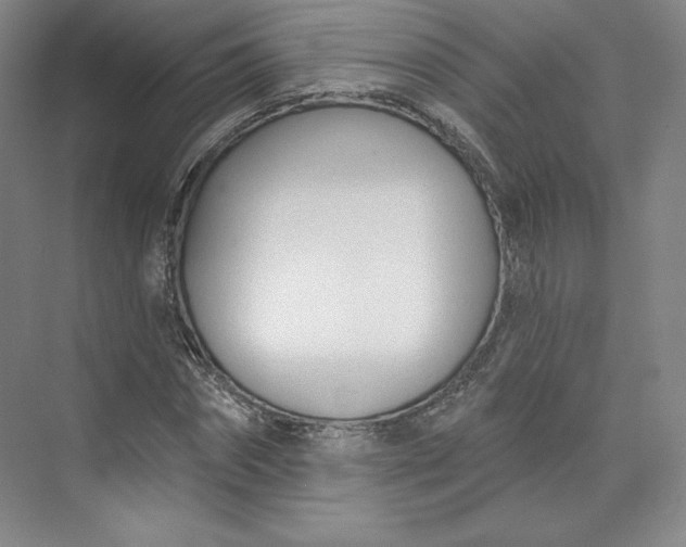 X0000073990874200609060955