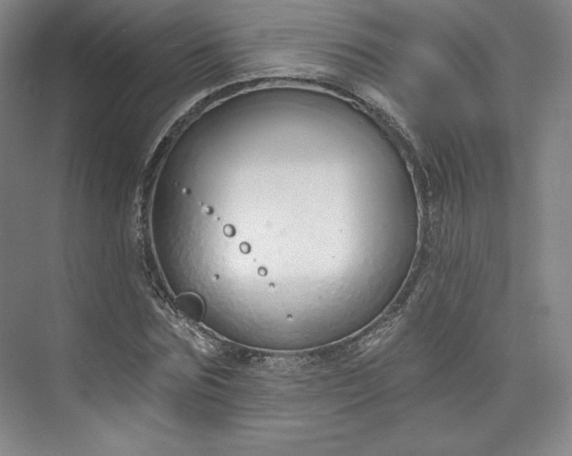 X0000073990875200609060955