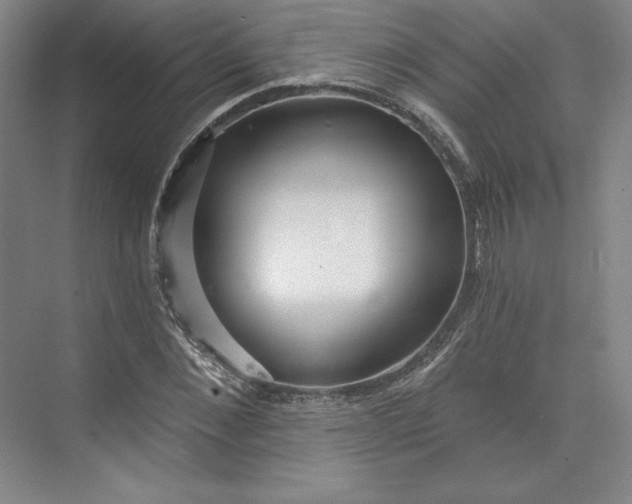 X0000073990876200609060955