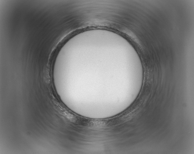 X0000073990878200609060955