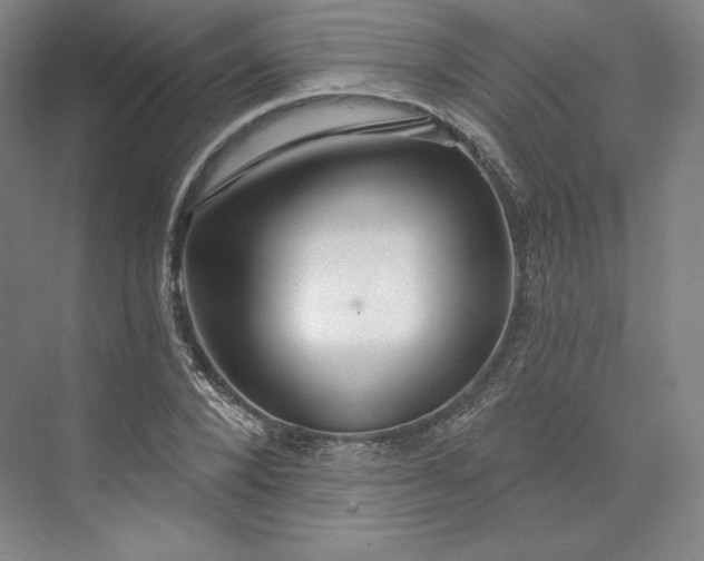 X0000073990880200609060955