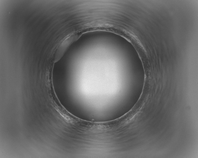 X0000073990881200609060955