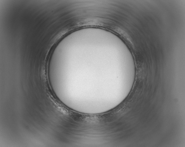 X0000073990882200609060955