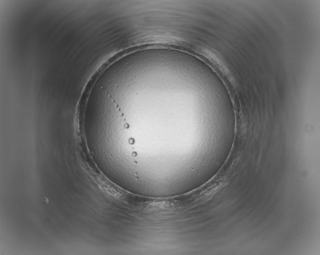 X0000073990883200609060955